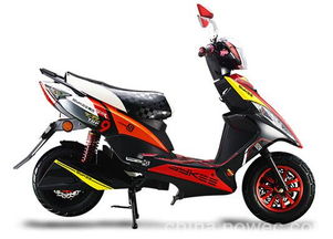 赛克电动车 绿色出行的智能新选择