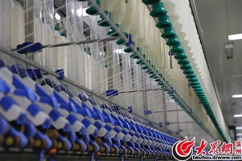 万锭用工仅10人，魏桥纺织引领全球智能化变革惊艳网络媒体